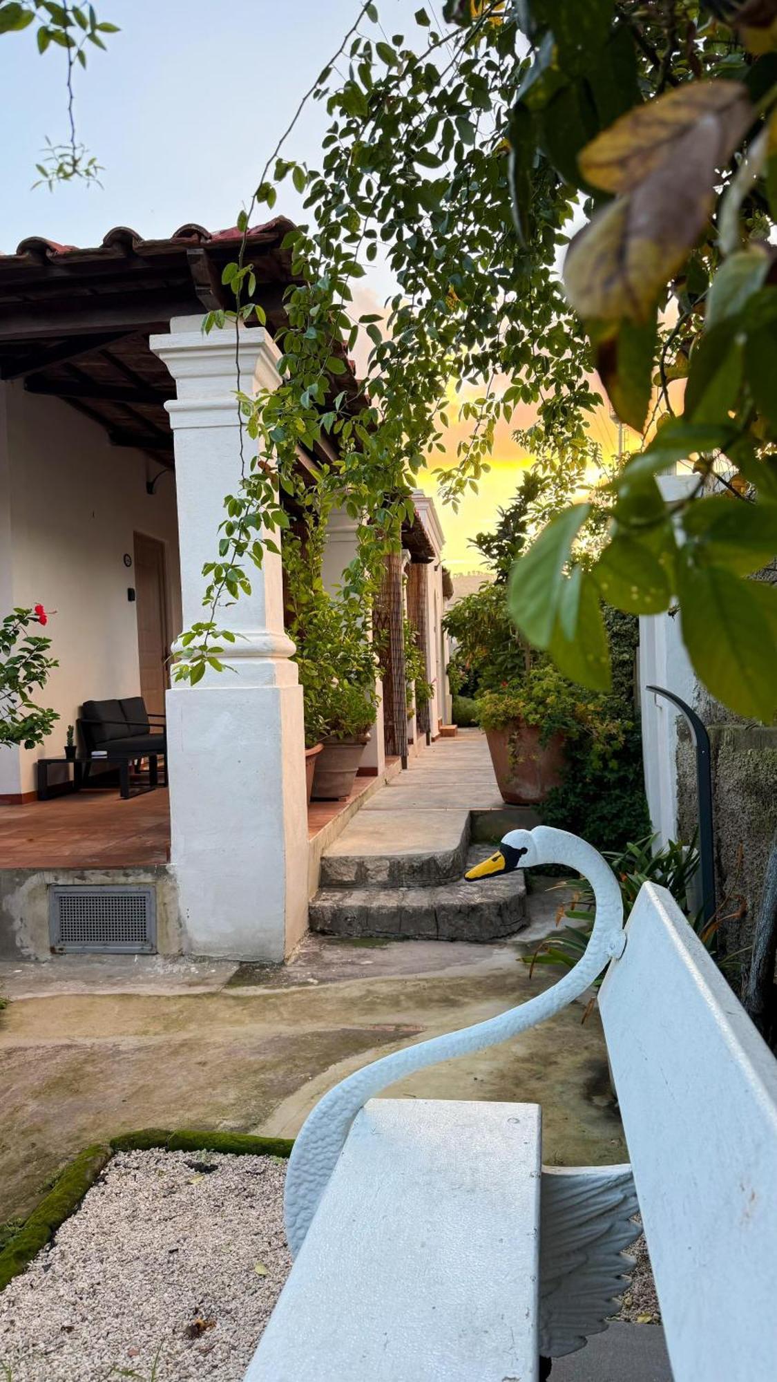 Il Cigno B&B Capri Exteriér fotografie