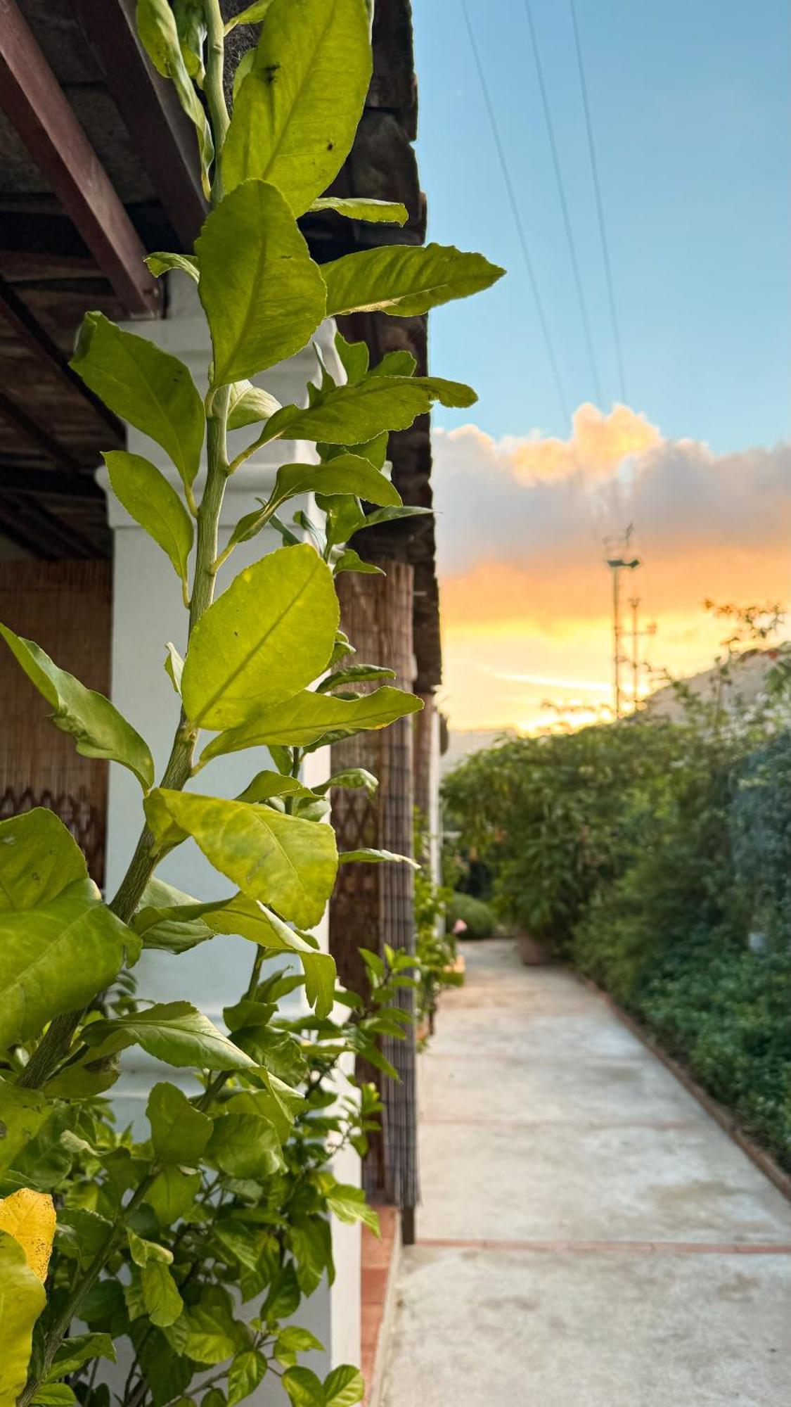 Il Cigno B&B Capri Exteriér fotografie