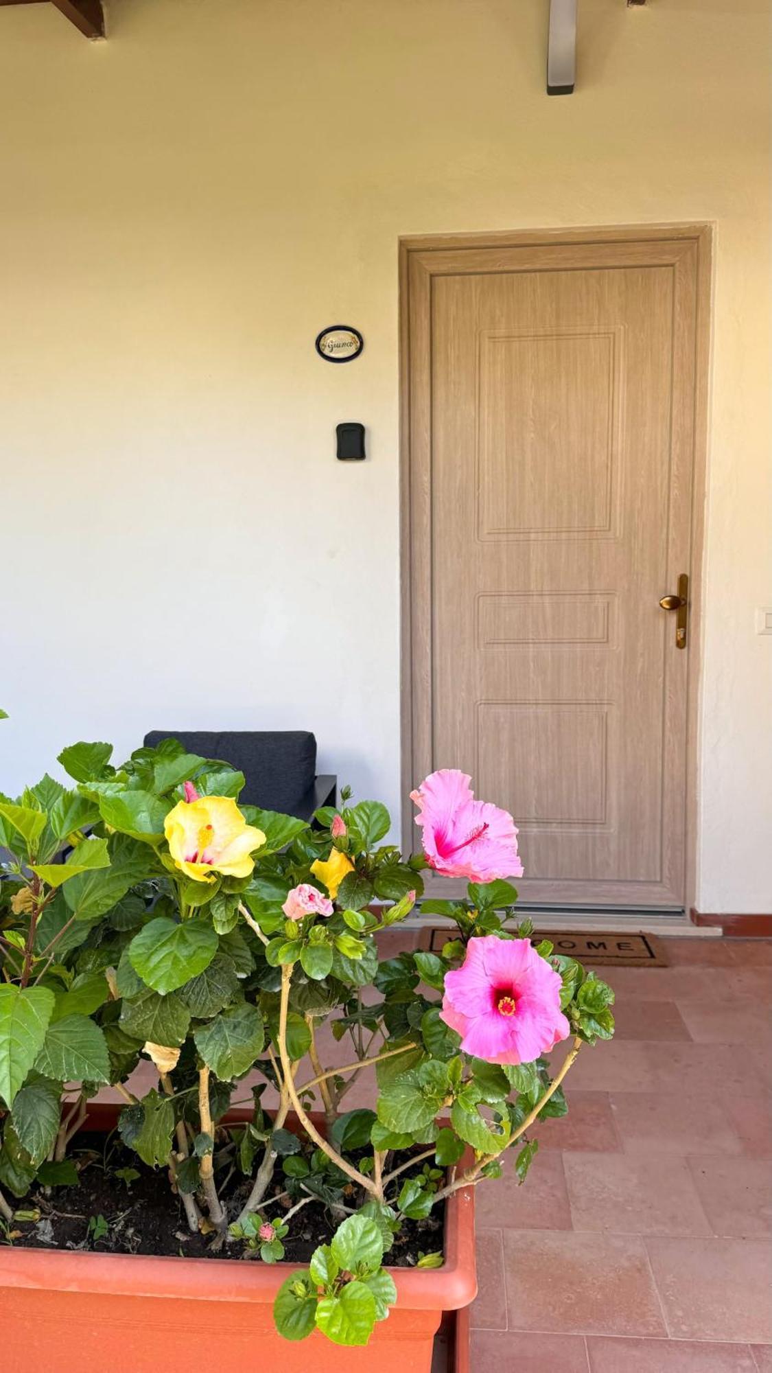 Il Cigno B&B Capri Exteriér fotografie