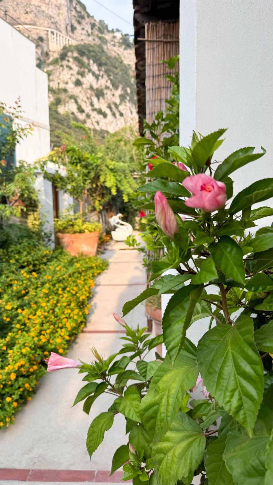Il Cigno B&B Capri Exteriér fotografie
