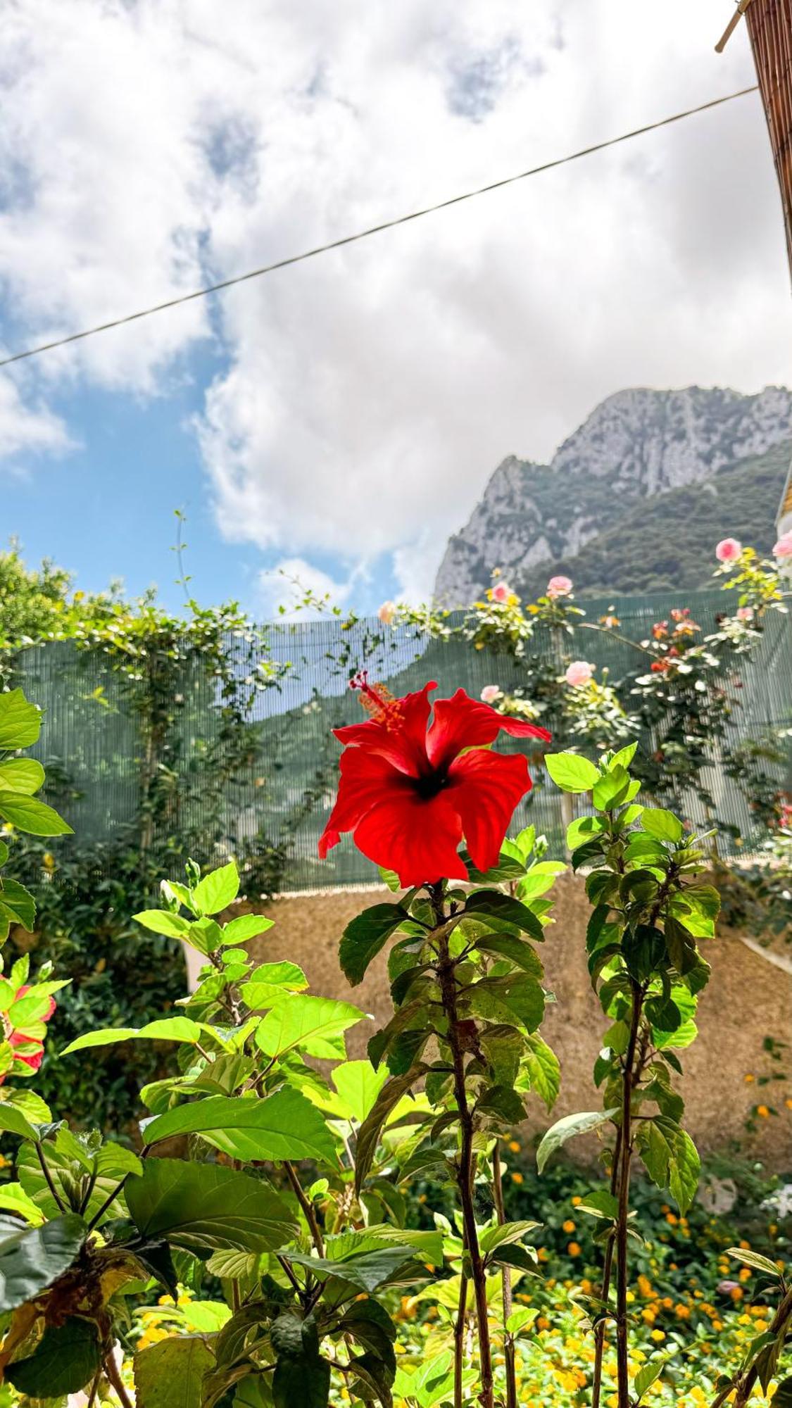 Il Cigno B&B Capri Exteriér fotografie